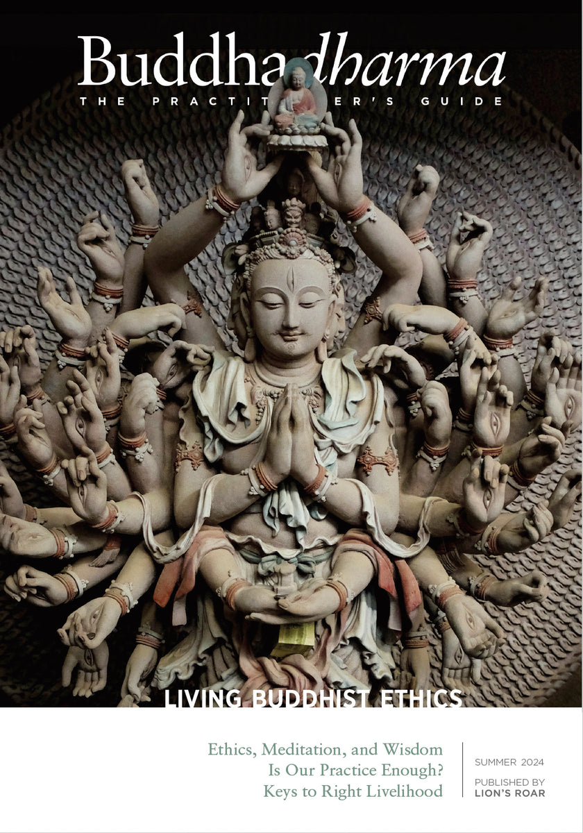 Buddhadharma: The Practitioner's Guide - Summer 2024