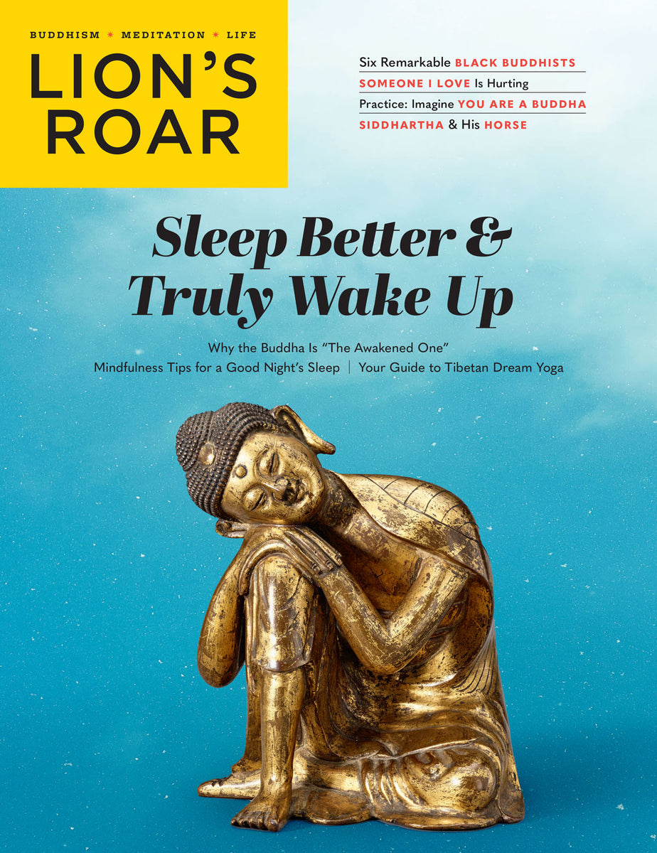 Lion's Roar Magazine  March 2024 - The Wisdom of Desire
