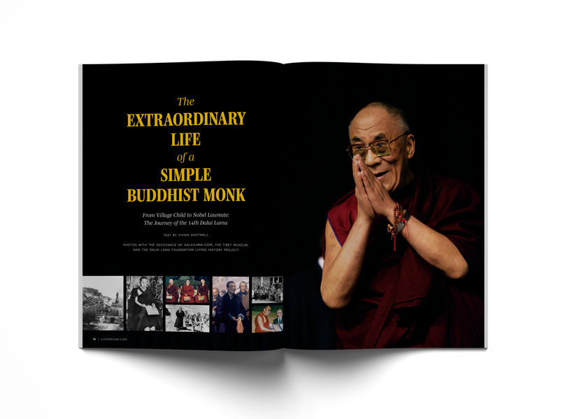 The Dalai Lama: Champion of Wisdom & Compassion – Lion's Roar