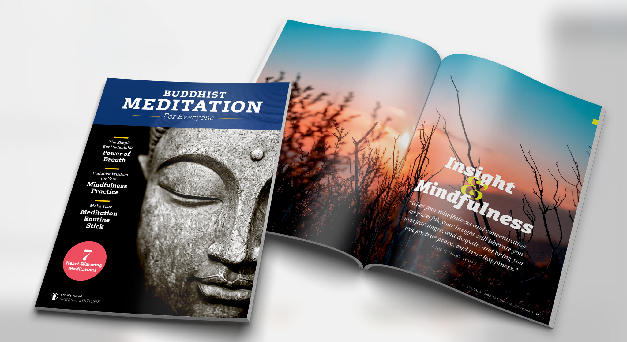 Meditation Starter Kit Gift Bundle – Lion's Roar